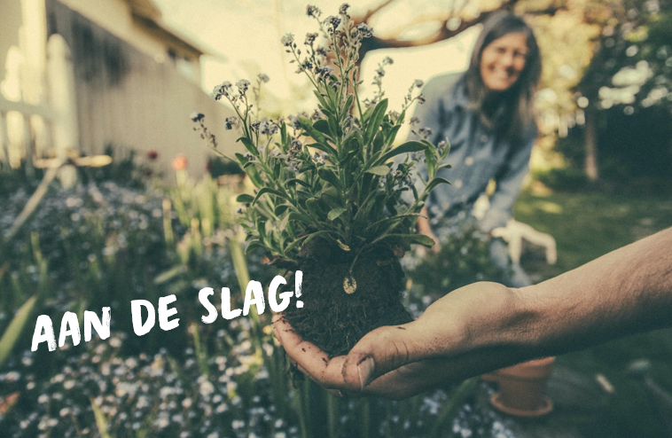 Doe mee met onze actieweken voor tuinieren en klussen! Veel inwoners en vrijwilligersorganisaties staan te springen op jouw hulp en ondersteuning. 
eerselvoorelkaar.nl/de-tuin-in-klu…