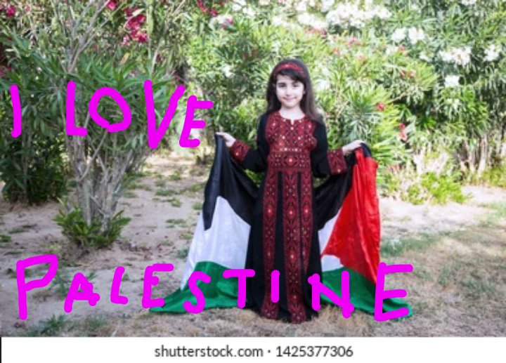 MoSimra2's tweet image. I love you Palestine Muslims