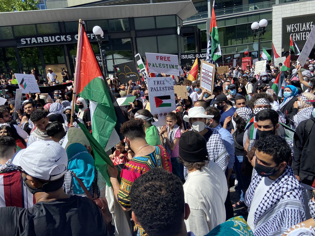 W 🇵🇸 𓂆 tweet media