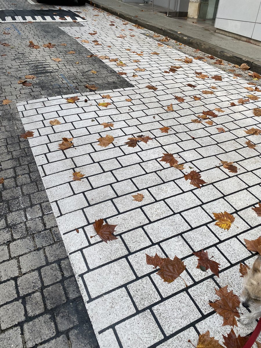 DejayToborek's tweet photo. Shared lane @ Farrell Ave, Darlinghurst. Wonder what on earth is @cityofsydney doing on with this repair job? The older ‘cobble stone’ effect is pressed bitumen and sprayed grey. The ‘fix’ is to paint bigger-sized cobbles in white with a stenci! #confusing #noconsistancy https://t.co/fptPgJoOBp