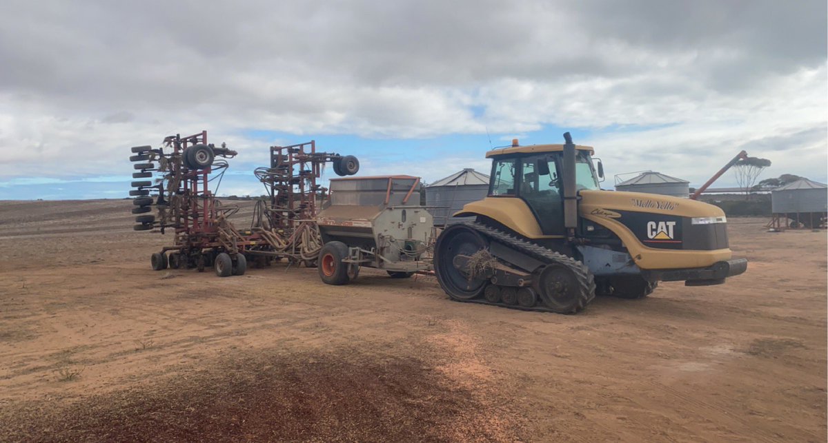 Joel Daniel tweet media