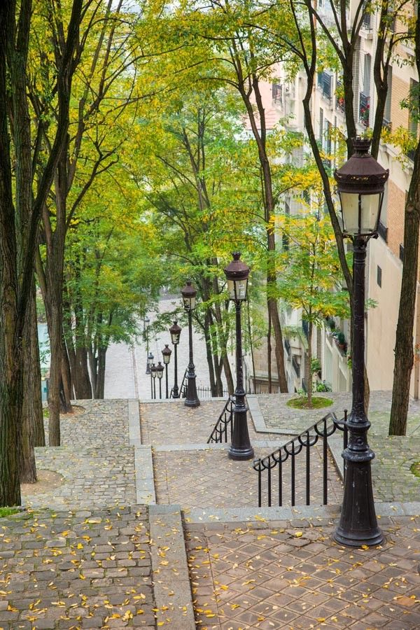 ParisAMDParis's tweet photo. Bonjour de la butte Montmartre   #Paris
#photograghy Pinterest https://t.co/B54Gk79sQR