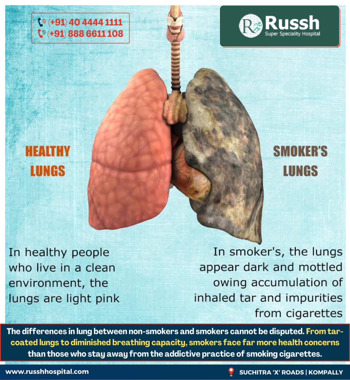 Smokers Lungs After Quitting Smoking