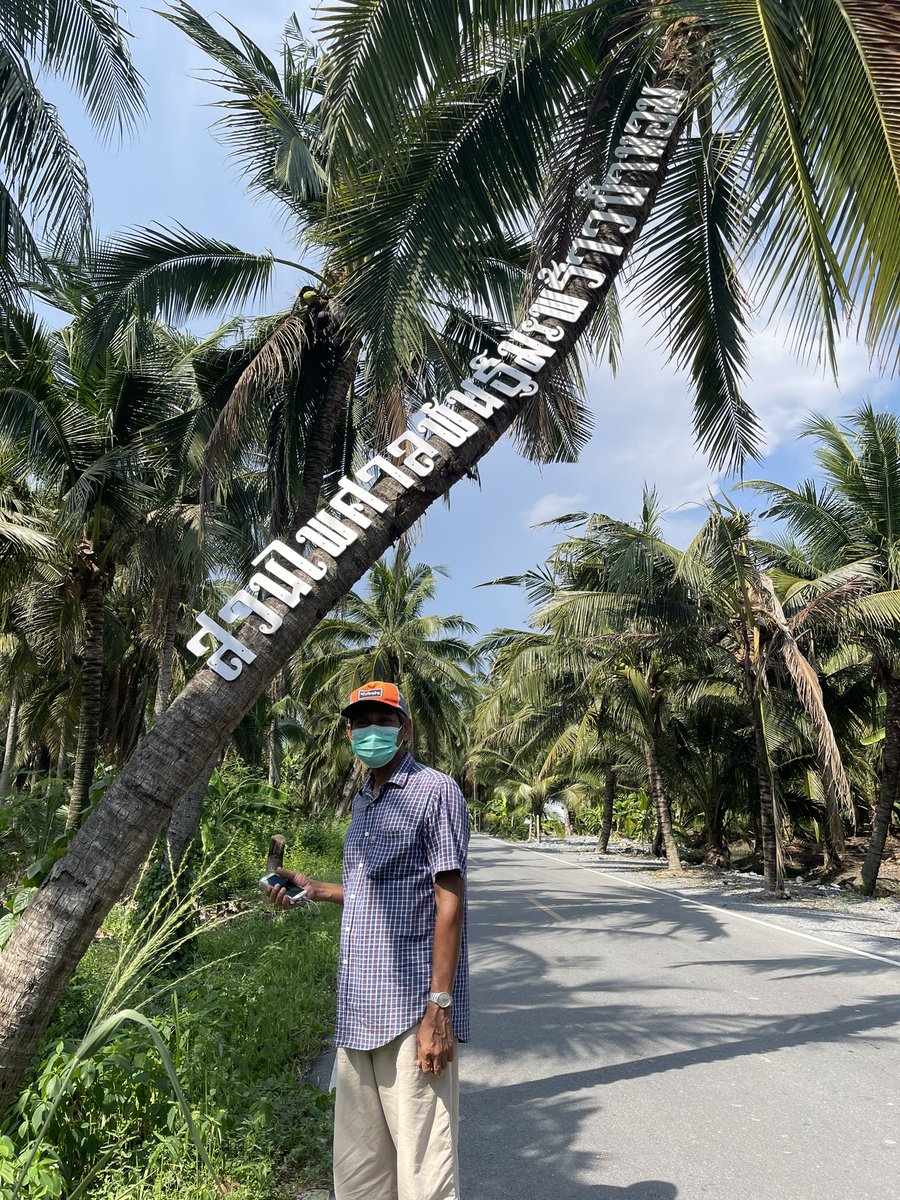 Chawsua52's tweet photo. อยากเป็นชาวสวนแล้ววววว🌴🌴🌴🥥🥥 #รีวิวบ้านแพ้ว #รีวิวสวนมะพร้าว #สดจากสวน #อร่อยไปแดก #จำหน่ายพันธุ์มะพร้าวน้ำหอม https://t.co/qkZ6PrGTtU