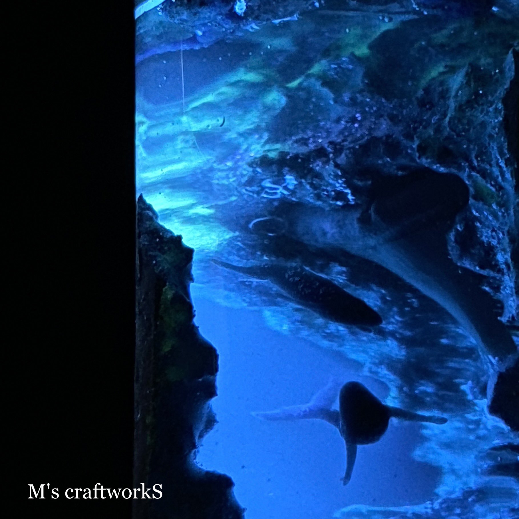 M S Craftworks Twitter પર 海底遺物 3 人知れぬ深い海の底にそれはあった 太古の昔 この海の食物連鎖の頂点にいた生き物の名残だ 存在が稀であるが故 残された亡骸も稀少である その亡骸もプレートの沈下に伴いその殆どがマントルに飲み込まれていった