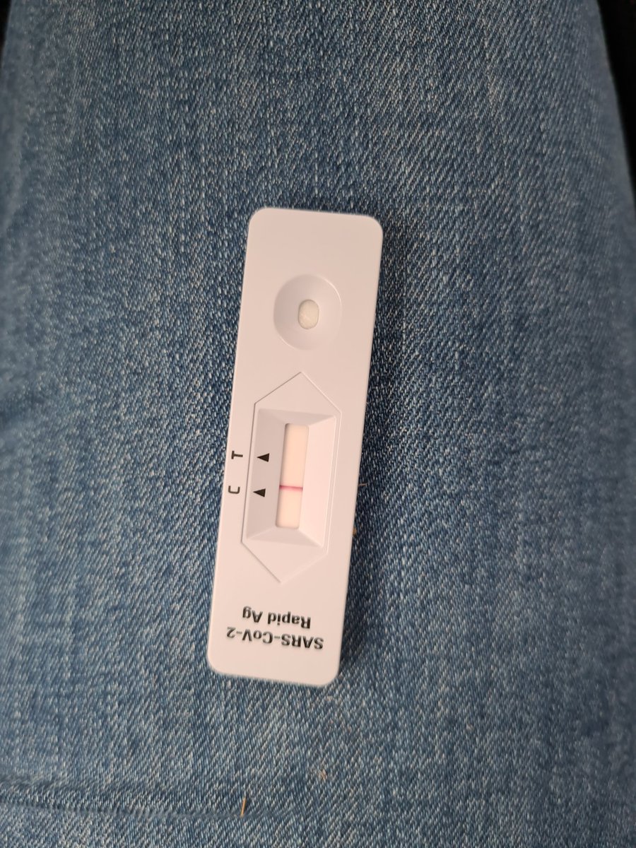 mrsquooriosity's tweet photo. Es ist Montag @Mofatempler
#wieimmer #montags
#normalmonday #selftest #lablive https://t.co/CjobDUmA72