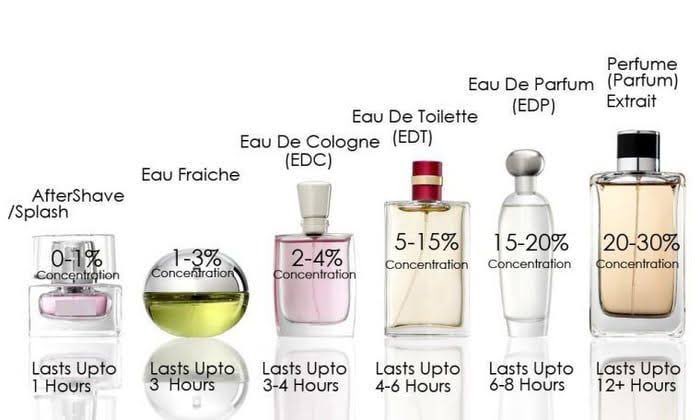 on Twitter: "The difference between Perfume EDP, EDT, and Co A Thread https://t.co/D8yqArdVDm" / Twitter