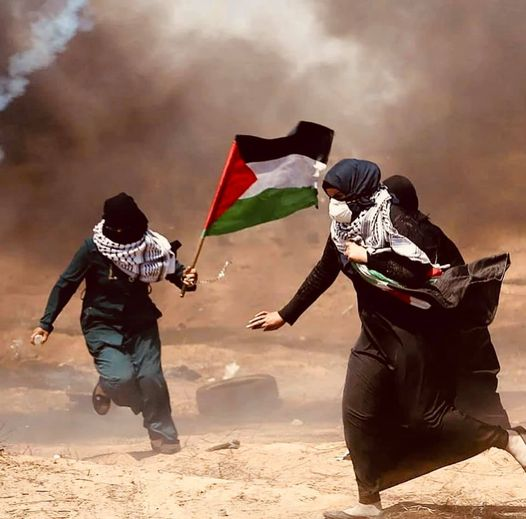 aaidh 🇵🇸 tweet media