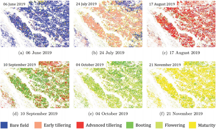 Subhadip_Dey94's tweet photo. I am happy to share that our article on #rice #phenology mapping is published in IJRS (https://t.co/FIfeKYyLPm). We introduced a #modelfree #polarimetric #decomposition technique for dual co-polarimetric data (TerraSAR-X type). #dualpol #agriculture https://t.co/lxDTkojCLZ