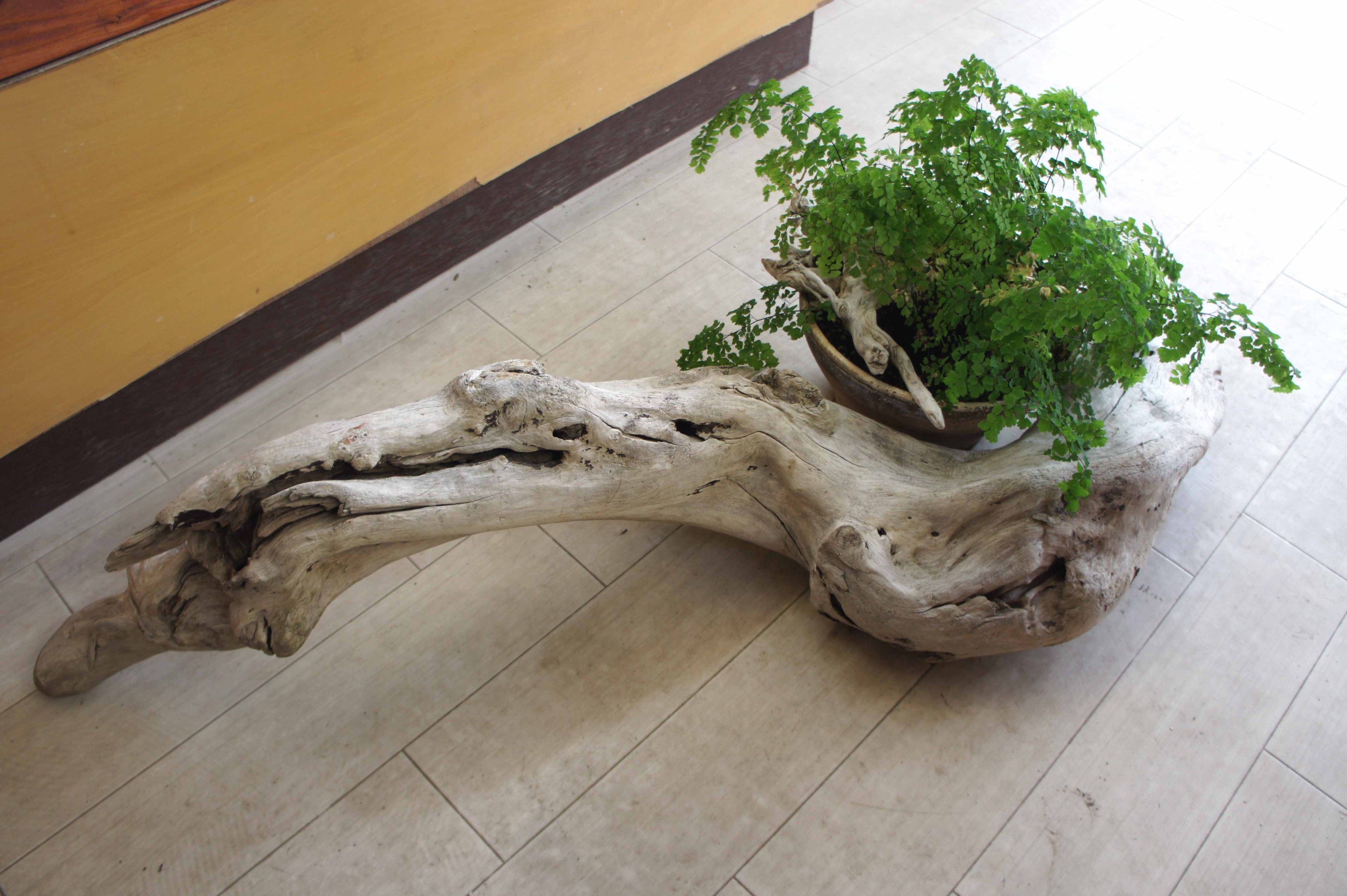 Wood Drops インテリア 流木 観葉植物 雑貨 リフォーム ガーデニング デザイン ｄｉｙ オブジェ ホーム おしゃれ グリーン 暮らし リビング 室内装飾 カフェ アジアン 部屋 テラリウム T Co Xdl6gdurr9 Twitter