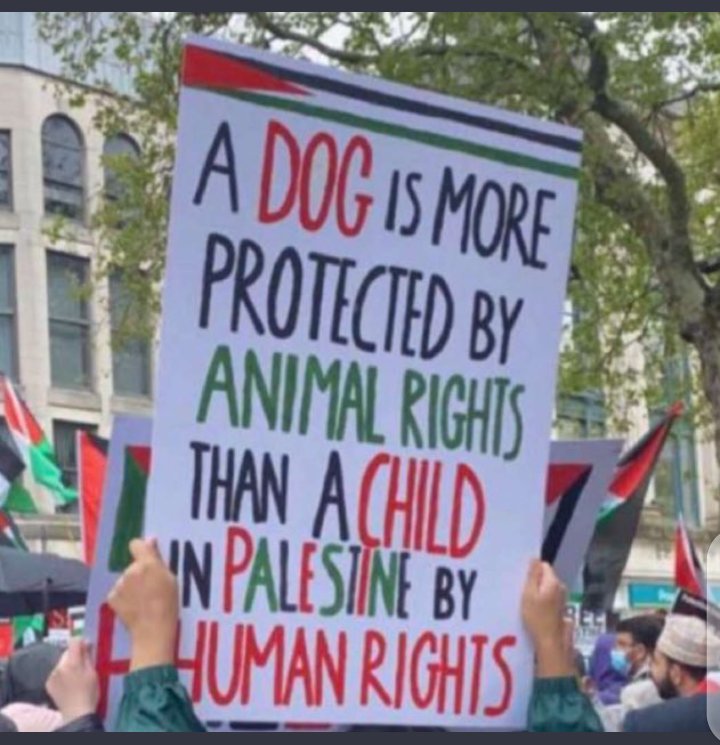 HusnainShoaib6's tweet photo. That hit me hard😥😥😥😥😥😥#FreePalestineFromIsrael #AqsaCallsArmies https://t.co/Zm08nIFCzm