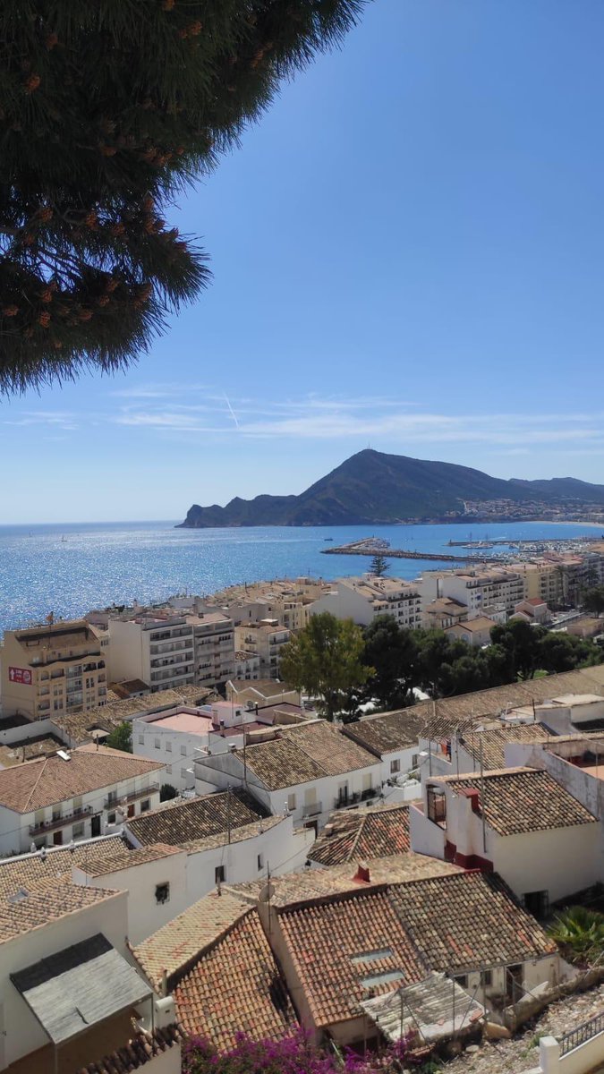 Modolibre_'s tweet photo. ¡Vaya lunes! Y encima con estas fotos, ¿qué nos podéis decir ahora? 😜

Con el fin del estado de alarma podemos compartir estas fotos que nos mandan nuestrxs seguidorxs, en este caso desde Altea (Valencia).

¡Lo que daría por esa paella! #YoVoyModoLibre 🍃 https://t.co/NSDCJbLe9V