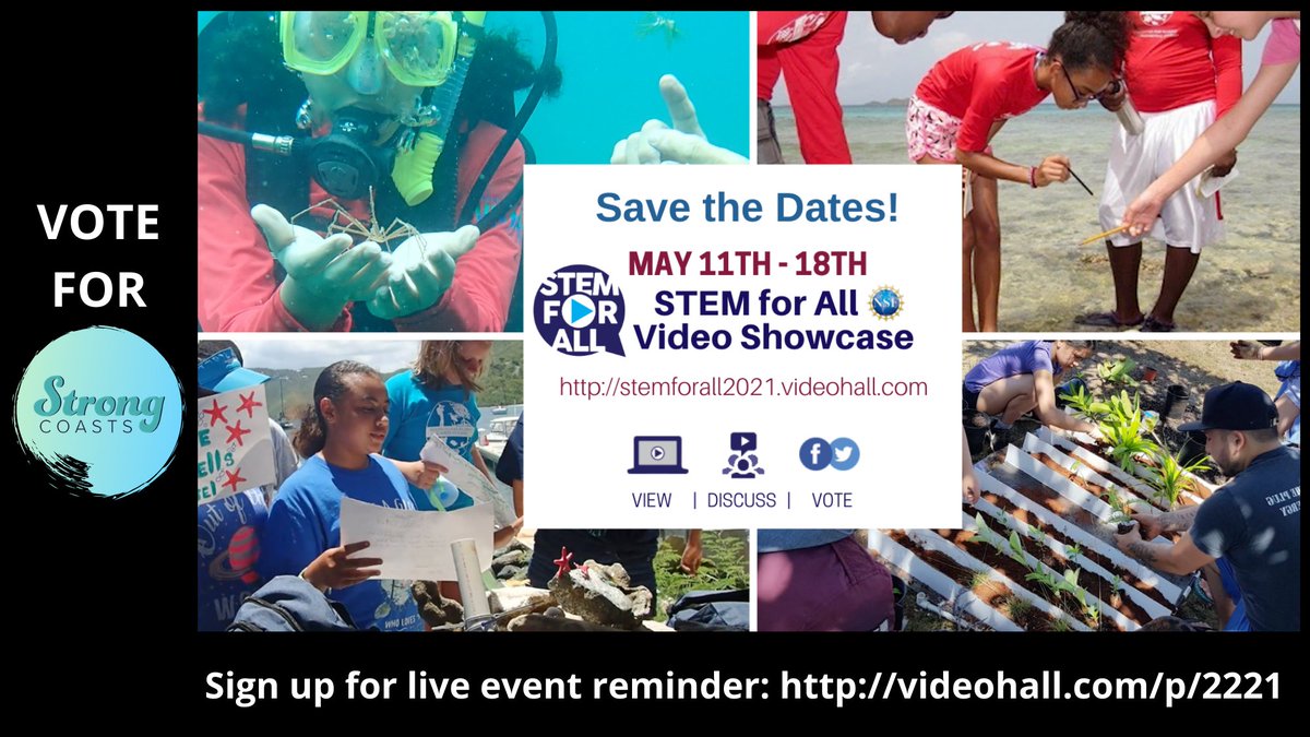 Strong Coasts tweet media