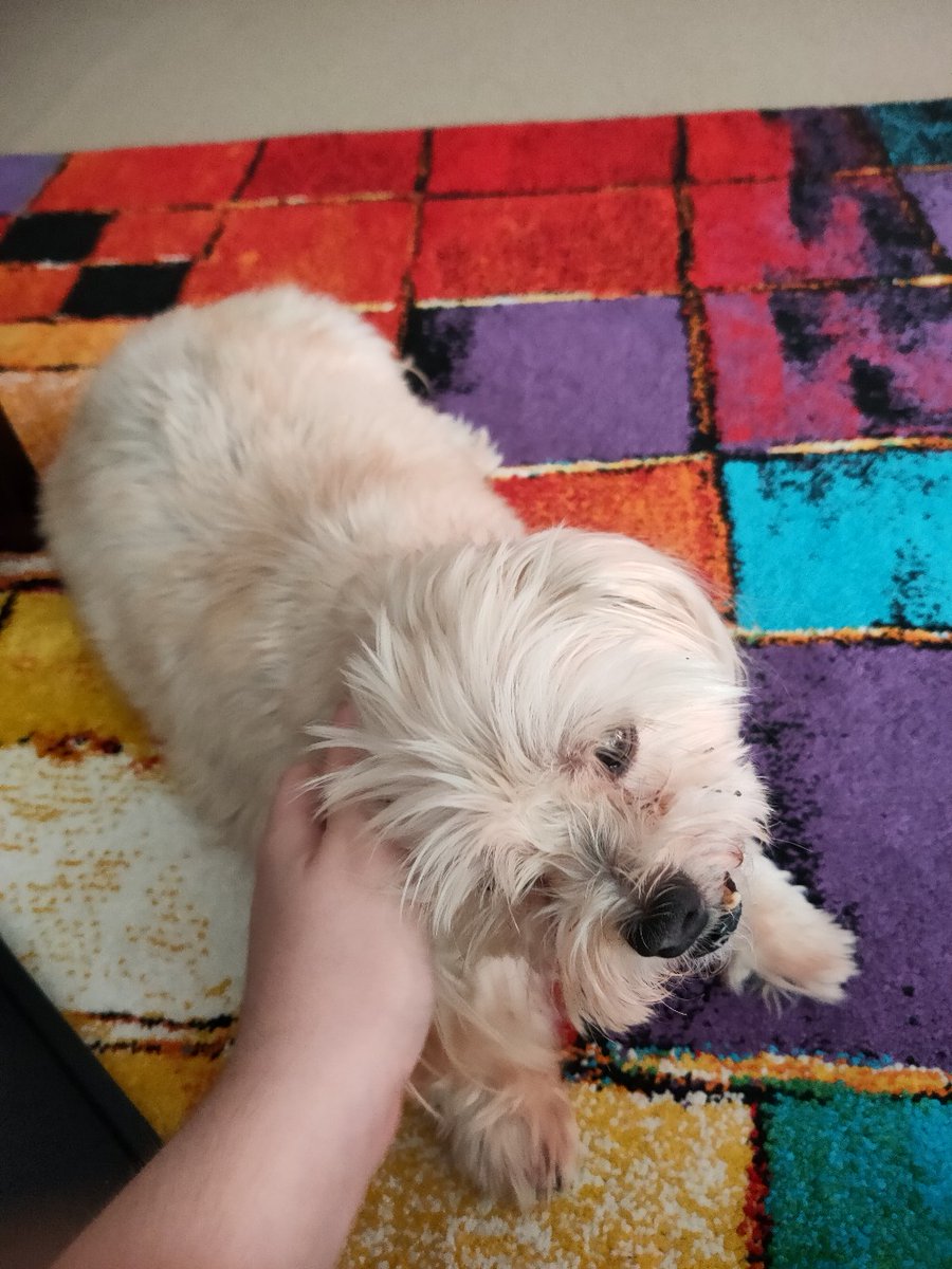 Redzyur's tweet image. The past 4 days have been so hard without you, I miss you sm 😞