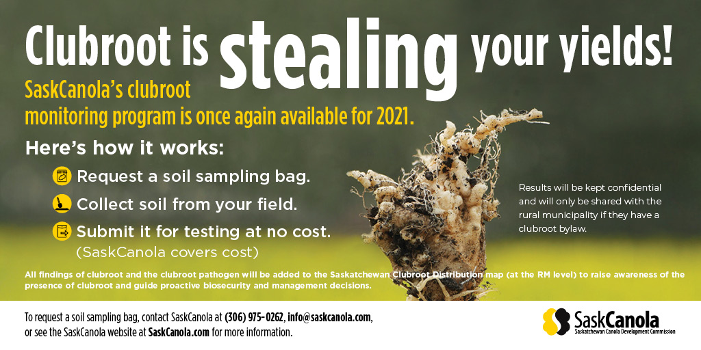 GROWERS: We need your participation in the 2021 Clubroot Monitoring Program!

Here’s how it works:

1. Request a soil sampling bag
2. Collect soil from your field
3. Submit it for testing at no cost to you

To learn more or request a sample bag go to: ow.ly/4EcA50EMeGR