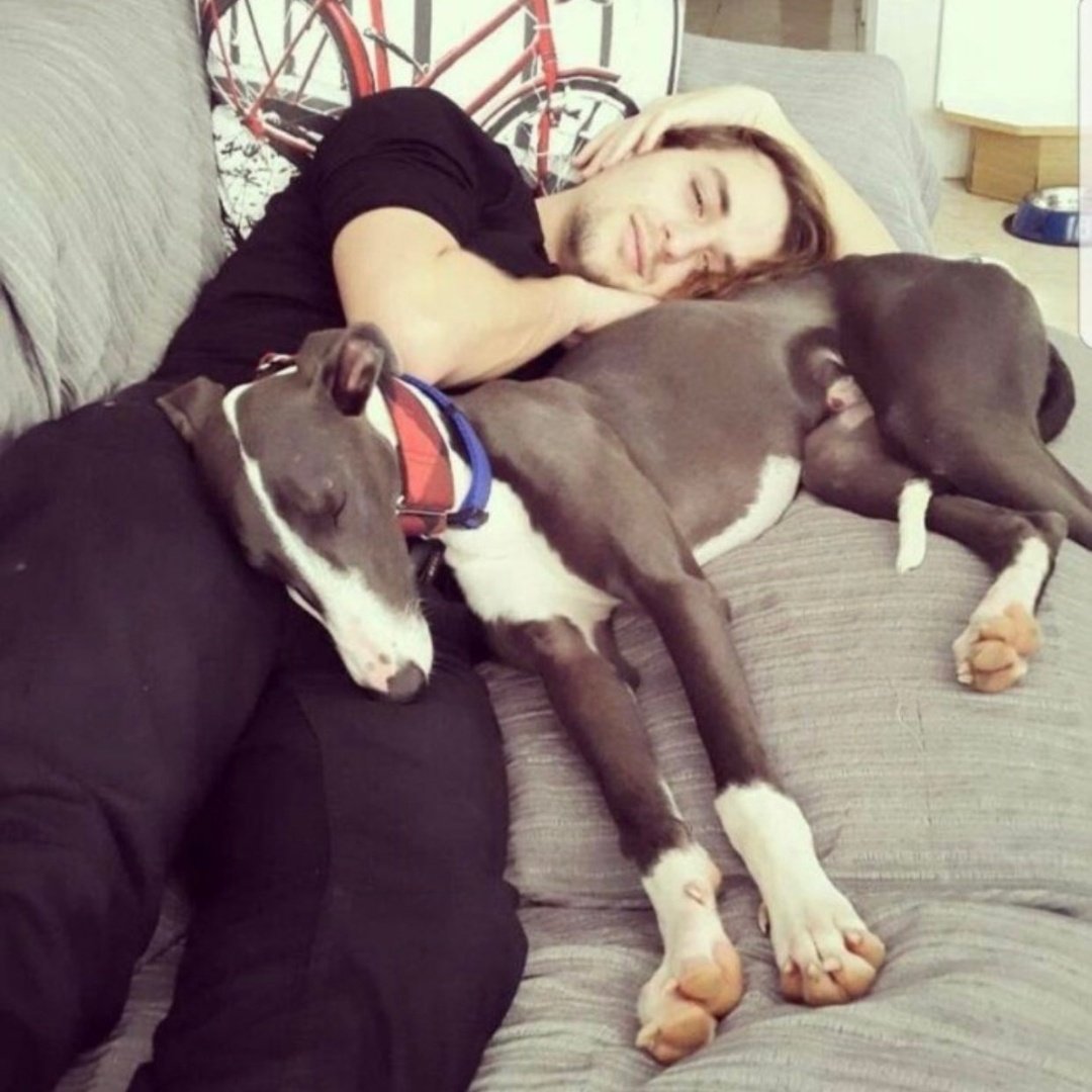 ₭Ⱨ₳₦ 🍞🐝 | 🦜| 🤍 tweet media