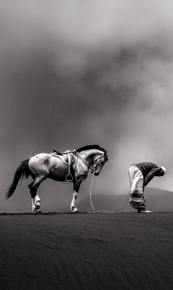 #ماذا_تعني_لك_الخيل