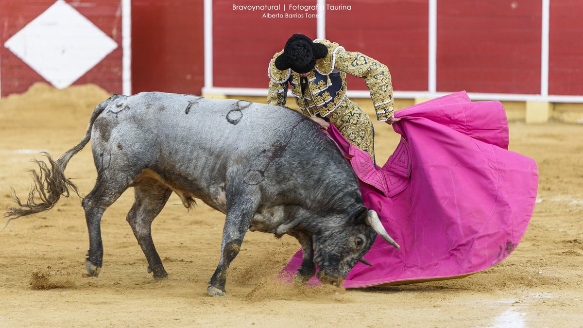 ✔️Una novillada, y más en estos tiempos, siempre es necesaria, un buen plan, y esta tarde hay una en Vistalegre.

🤞🏼 Deseamos suerte a los 3 novilleros, y saludamos a <a href="/AntonioGraande/">Antonio Grande</a>, con un recuerdo de su actuación en una de nuestras novilladas en 2019

📸 <a href="/Bravoynatural/">Alberto Barrios</a>