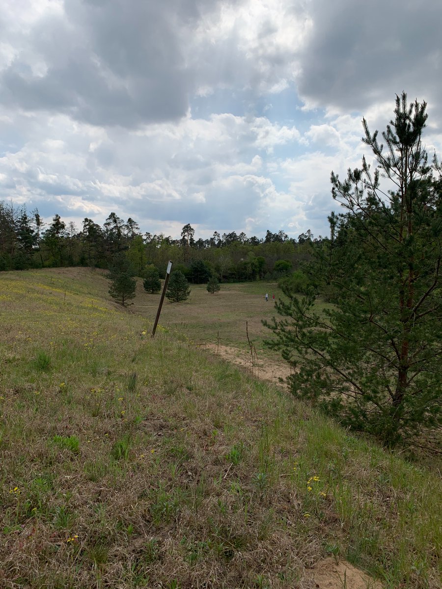 HardtwaldW's tweet photo. Auflösung Wochenendrätsel:
Die ehemalige Ostkurve des Hockenheimrings ist heute ein Vogelschutzgebiet. https://t.co/5l23DAMscy