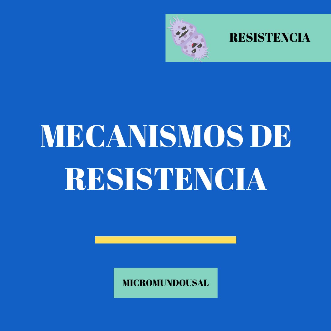 ¡NUEVO POST, MICROMUNDERS! 👋🏾👋🏾👋🏾

Hoy vamos a hablar de los mecanismos de resistencia.

Dentro hilo 👇🏾