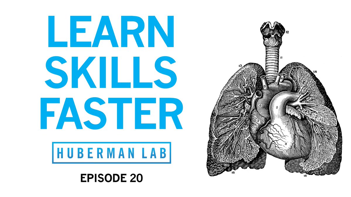 hubermanlab's tweet photo. New episode of Huberman Lab Podcast out now. Science & practice of physical skill learning:
Optimal training protocols & duration, The proper use of visualization,
How to extend range of motion
Spanish & English captions included
YouTube, Spotify, Apple
https://t.co/FIDw6xfrCJ https://t.co/WZ3iGogFBm