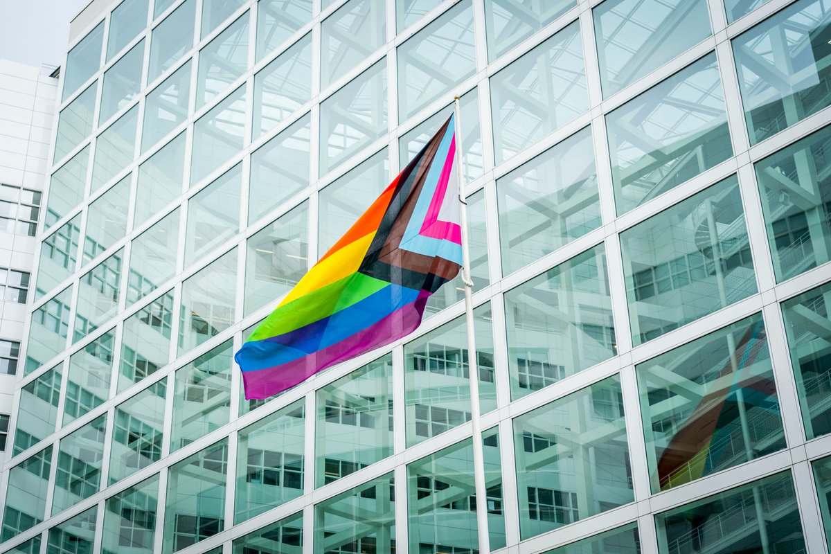 Newsroom070's tweet photo. Op de internationale dag tegen homofobie en transfobie hijst @GemeenteDenHaag de progress pride vlag🏳️‍🌈▶️https://t.co/cLf65ks7Jy 'De symboliseert dat iedereen in Den Haag zichzelf mag zijn' @bertvanalphen 📸@ValerieKuypers3 https://t.co/1hgRl2HSrp