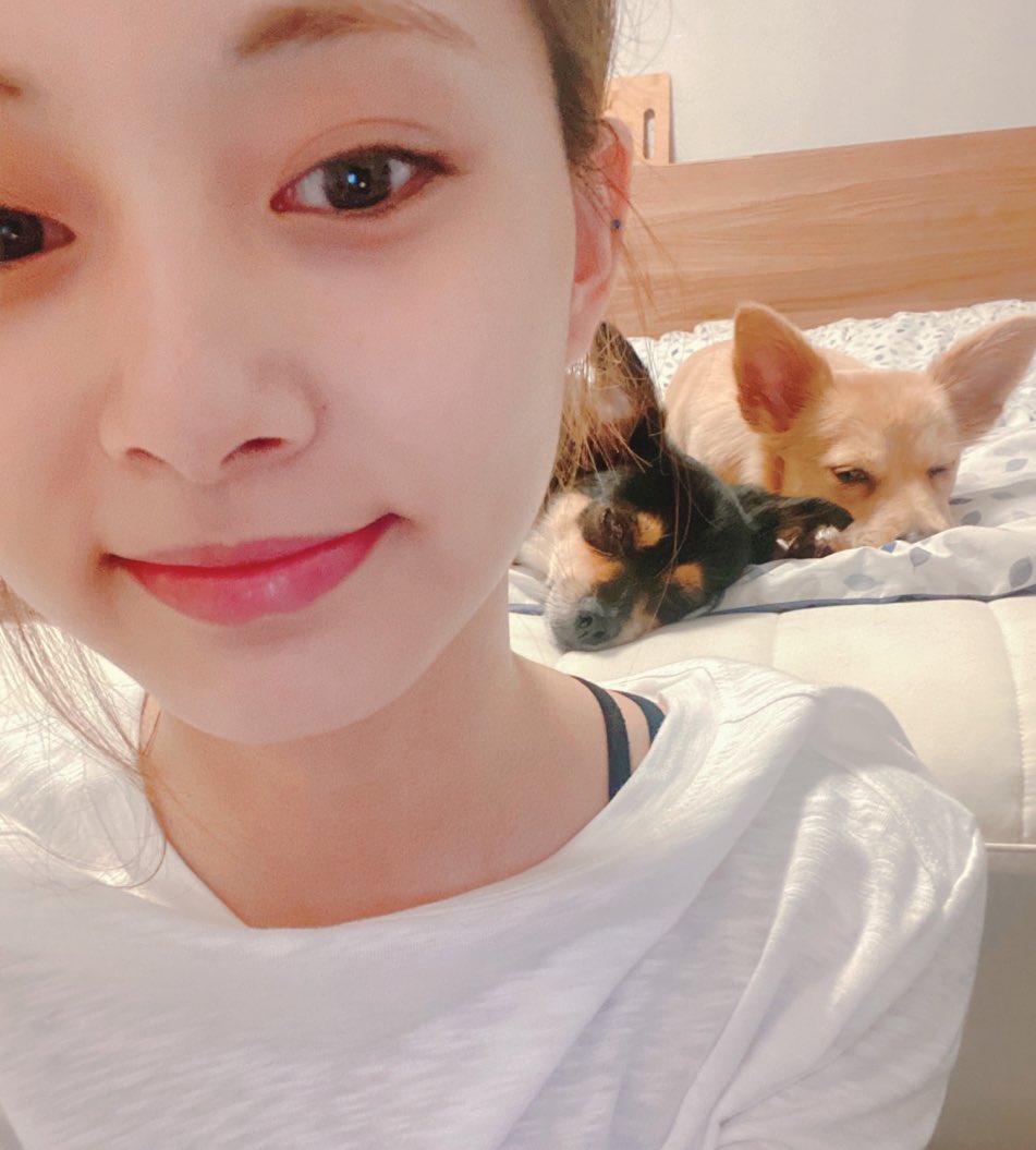 HOURLYTZY's tweet photo. tzuyu bbl update 💬 https://t.co/Y8Rqq4P02Y