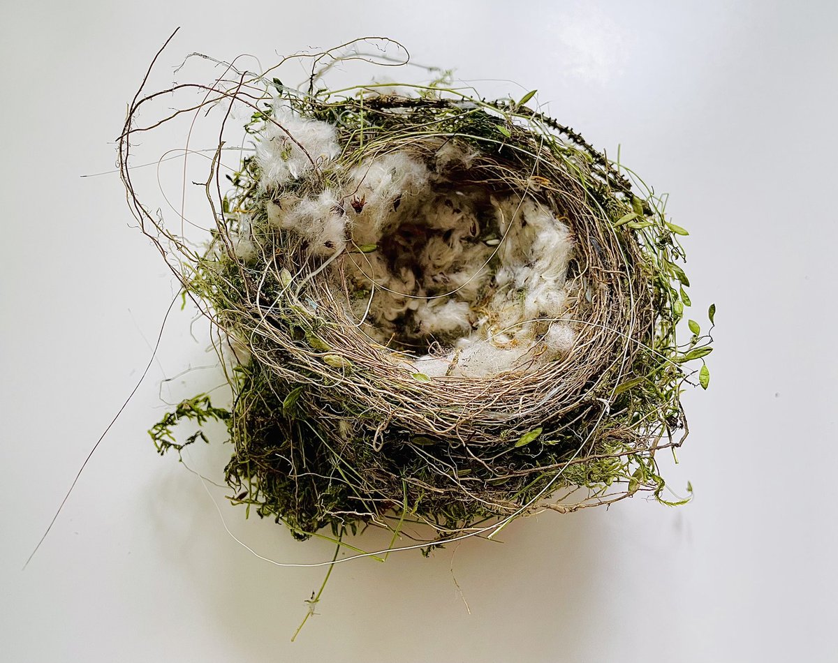_sonotama's tweet photo. childhood
#nest #littleplace https://t.co/XCKX7yMxah