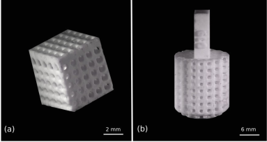 Héloïse Verdier (@heloise_verdier) on Twitter photo The first paper of my thesis on the development of 3D-printed passive samplers to collect #eDNA in aquatic environments is submitted ! Thanks @Tristan_Lefebur <a href="/Marquette_chris/">Christophe Marquette</a> and others for this great interdisciplinary work.
Preprint available here : bit.ly/3flhDah The first paper of my thesis on the development of 3D-printed passive samplers to collect #eDNA in aquatic environments is submitted ! Thanks @Tristan_Lefebur <a href="/Marquette_chris/">Christophe Marquette</a> and others for this great interdisciplinary work.
Preprint available here : bit.ly/3flhDah