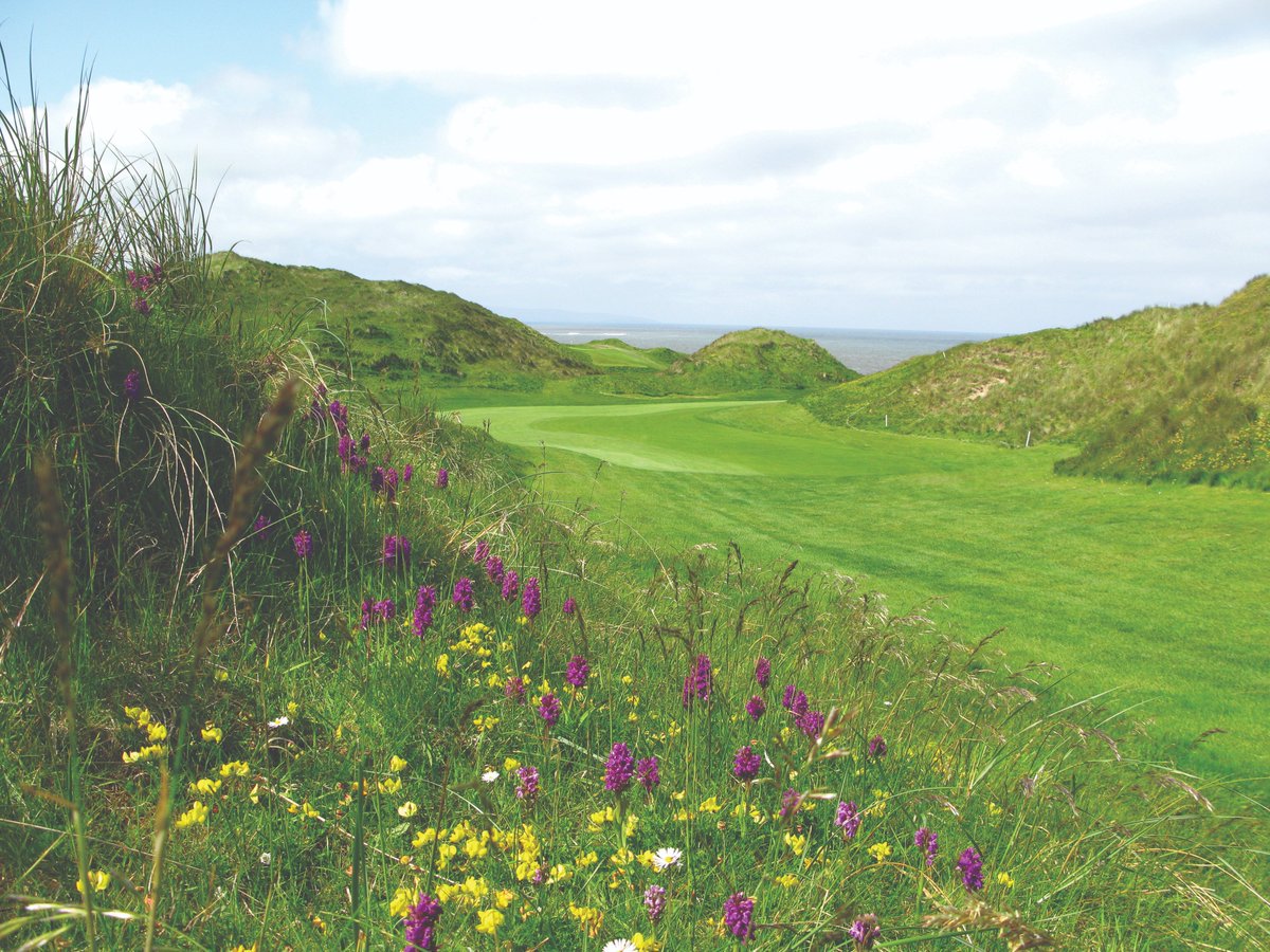 Golf Environment Awards (@golfenvawards) on Twitter photo We want golf courses that are becoming more environmentally friendly or enhancing biodiversity to be recognised and strongly encourage them to enter the golf environment awards! Entries close Friday 30th July!
@striturf <a href="/Ecology1BIGGA/">Ecology @ BIGGA</a> <a href="/SyngentaUK/">Syngenta UK</a> <a href="/marieathorngolf/">Marie</a> <a href="/Aquatrols/">Aquatrols Company</a> #golf We want golf courses that are becoming more environmentally friendly or enhancing biodiversity to be recognised and strongly encourage them to enter the golf environment awards! Entries close Friday 30th July!
@striturf <a href="/Ecology1BIGGA/">Ecology @ BIGGA</a> <a href="/SyngentaUK/">Syngenta UK</a> <a href="/marieathorngolf/">Marie</a> <a href="/Aquatrols/">Aquatrols Company</a> #golf