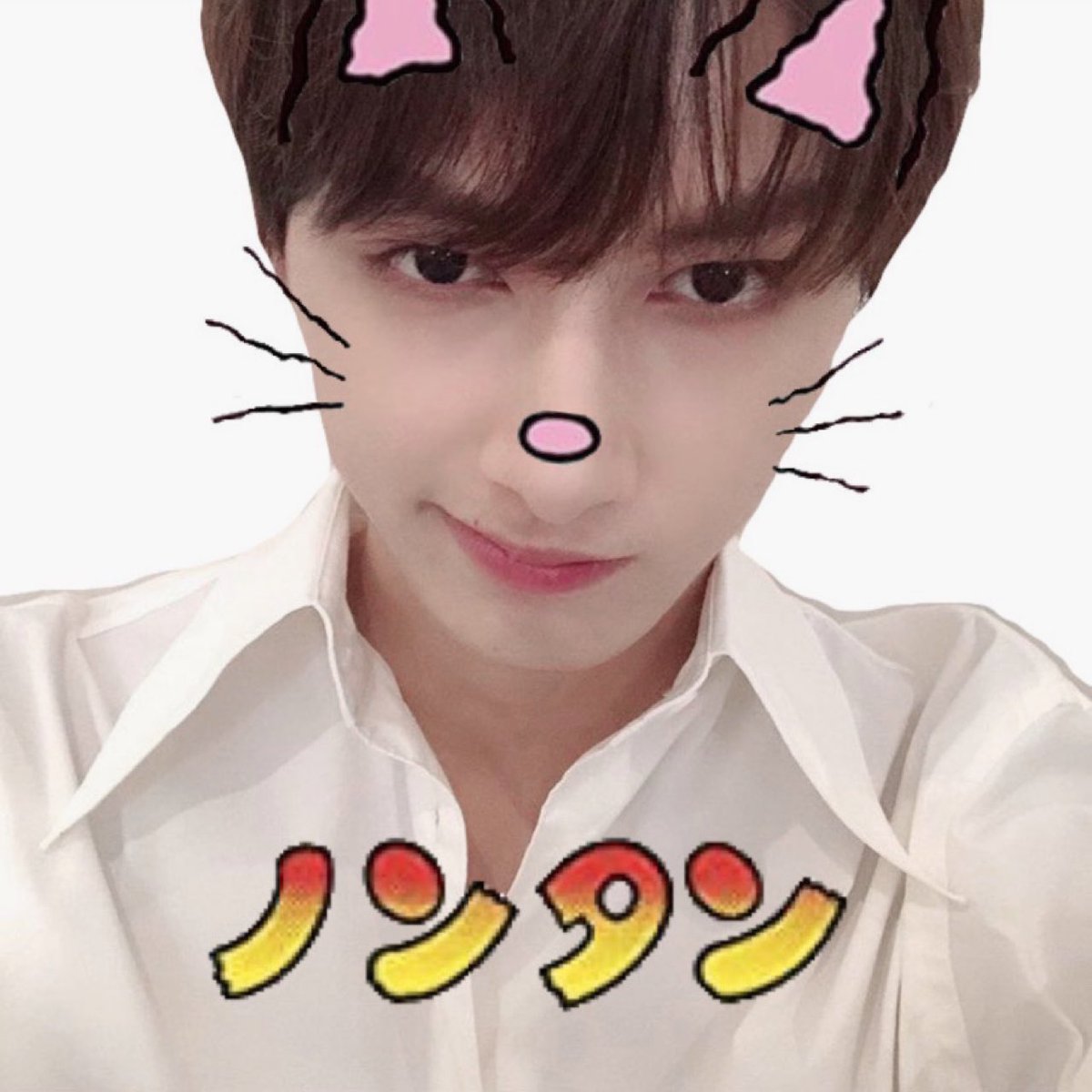 イケてる女 バカ犬 Mypreciousjun Twitter イケてる女 バカ犬 Mypreciousjun Twitter
