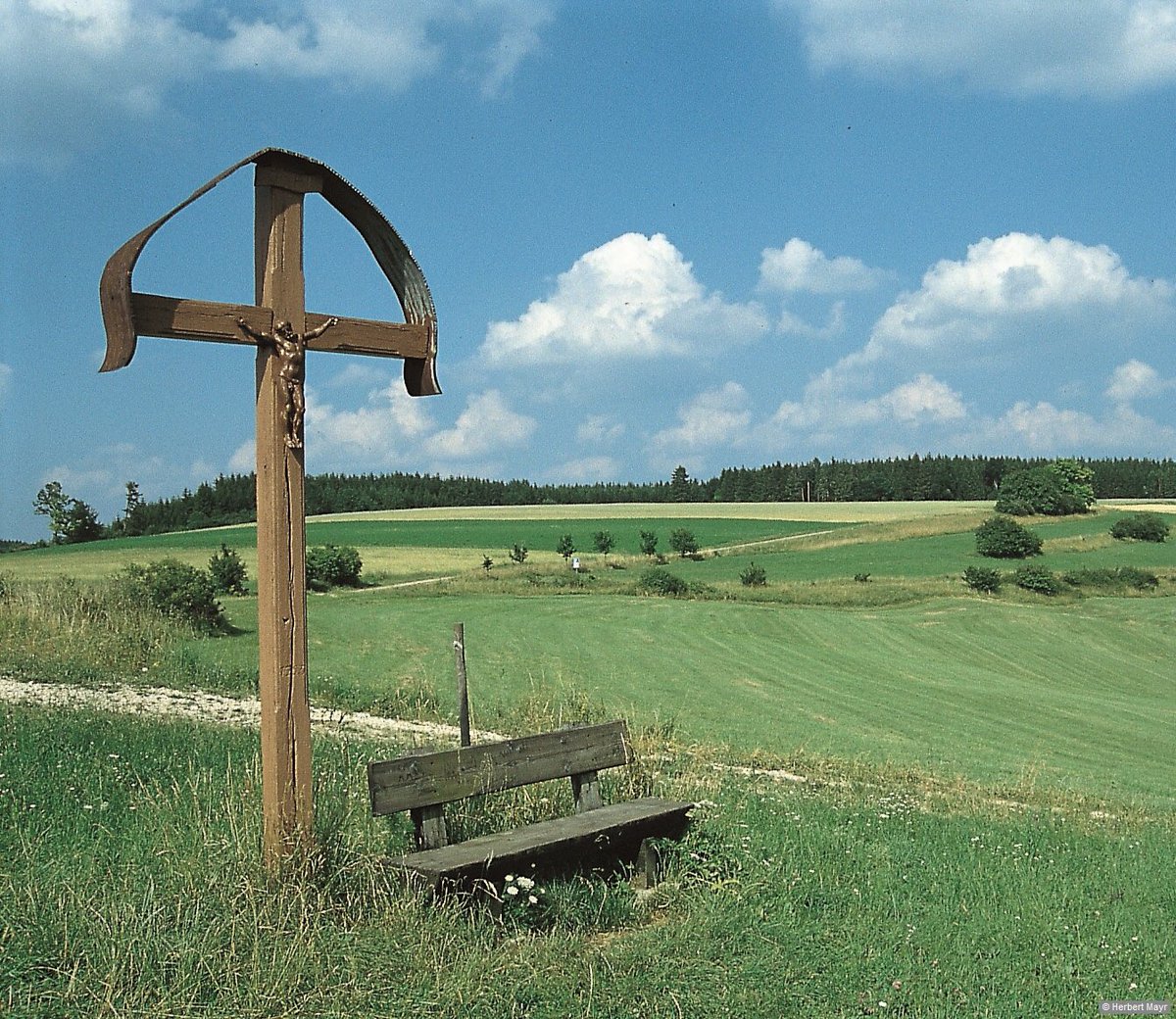 MartinFehringe3's tweet photo. @realJohnyM @Joerg_Rehmann @Werktaetiger_ Die Projektierer wie #SolarcomplexAG und die kommunale #Hegauwind planen trotzdem im Wald am #Hegaublick und #Napoleonseck. https://t.co/QZzA8LOQtE
