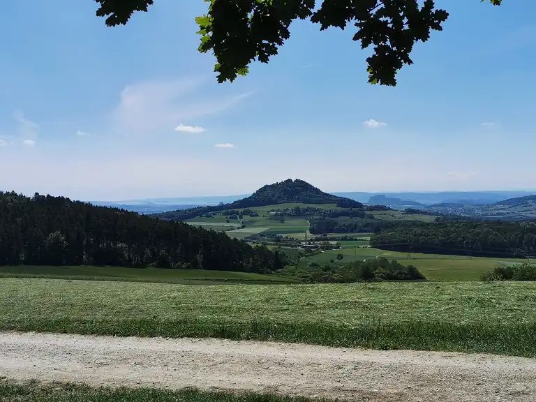 MartinFehringe3's tweet photo. @realJohnyM @Joerg_Rehmann @Werktaetiger_ Die Projektierer wie #SolarcomplexAG und die kommunale #Hegauwind planen trotzdem im Wald am #Hegaublick und #Napoleonseck. https://t.co/QZzA8LOQtE