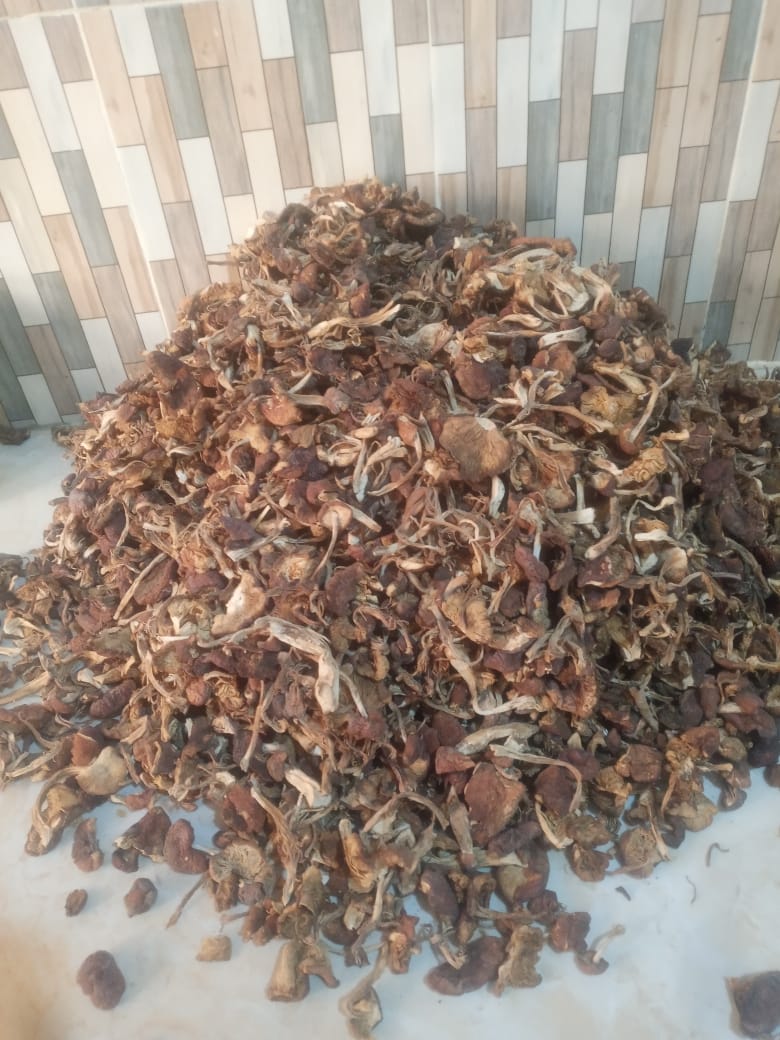 indigenous001's tweet photo. Legit Sun dried Mushroom, Ksh 500 for a packet of 450grams.

Get in touch via 0708639678. Deliveries done countrywide.

#1Man1Vote1Shilling Mutahi Ngunyi Munya Online Classes Stella Freshly Mwamburi #JujaNiKoimburi https://t.co/T3zZsgRbeD