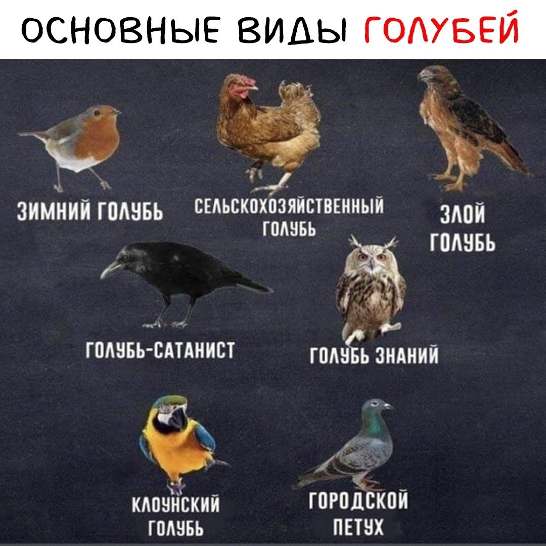 E1lGJrYX0AIJeT4?format=jpg&name=medium