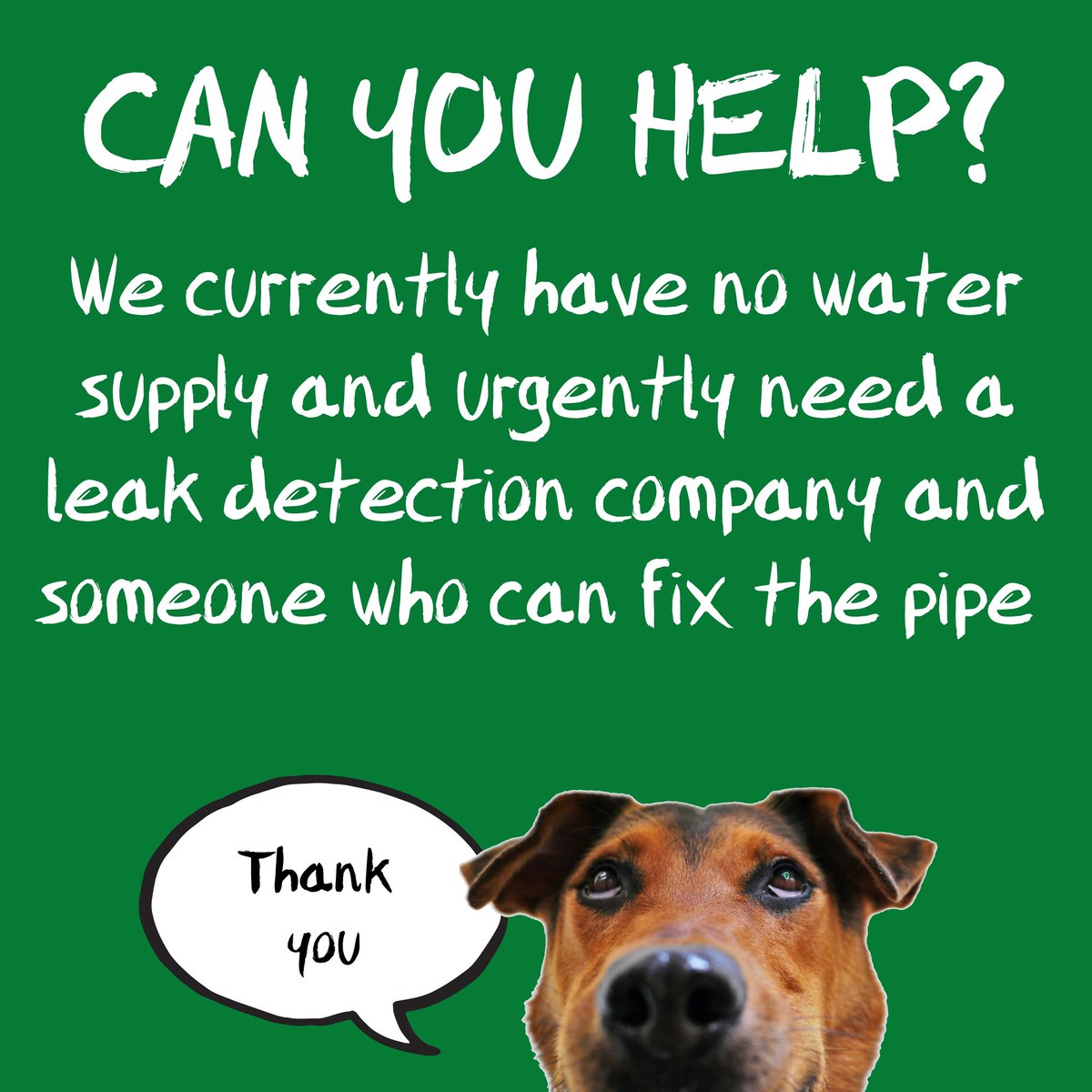 Please get in touch if you can help or know someone who can. 
Any help sharing to spread the word would really be appreciated.
Thank you 💚 pic.x.com/LSnBSf2qBh