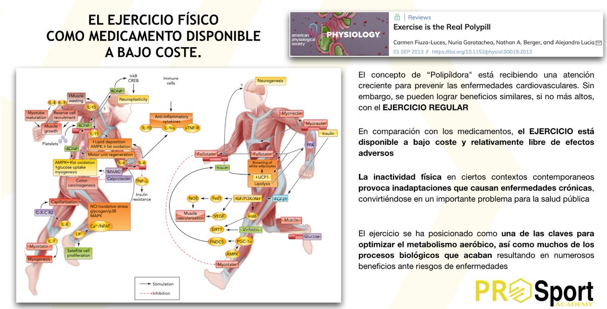 PROSport Academy tweet media