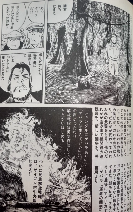 「鬼太郎のベトナム戦記」読んだけど

圧倒的トンデモ珍書だった。 