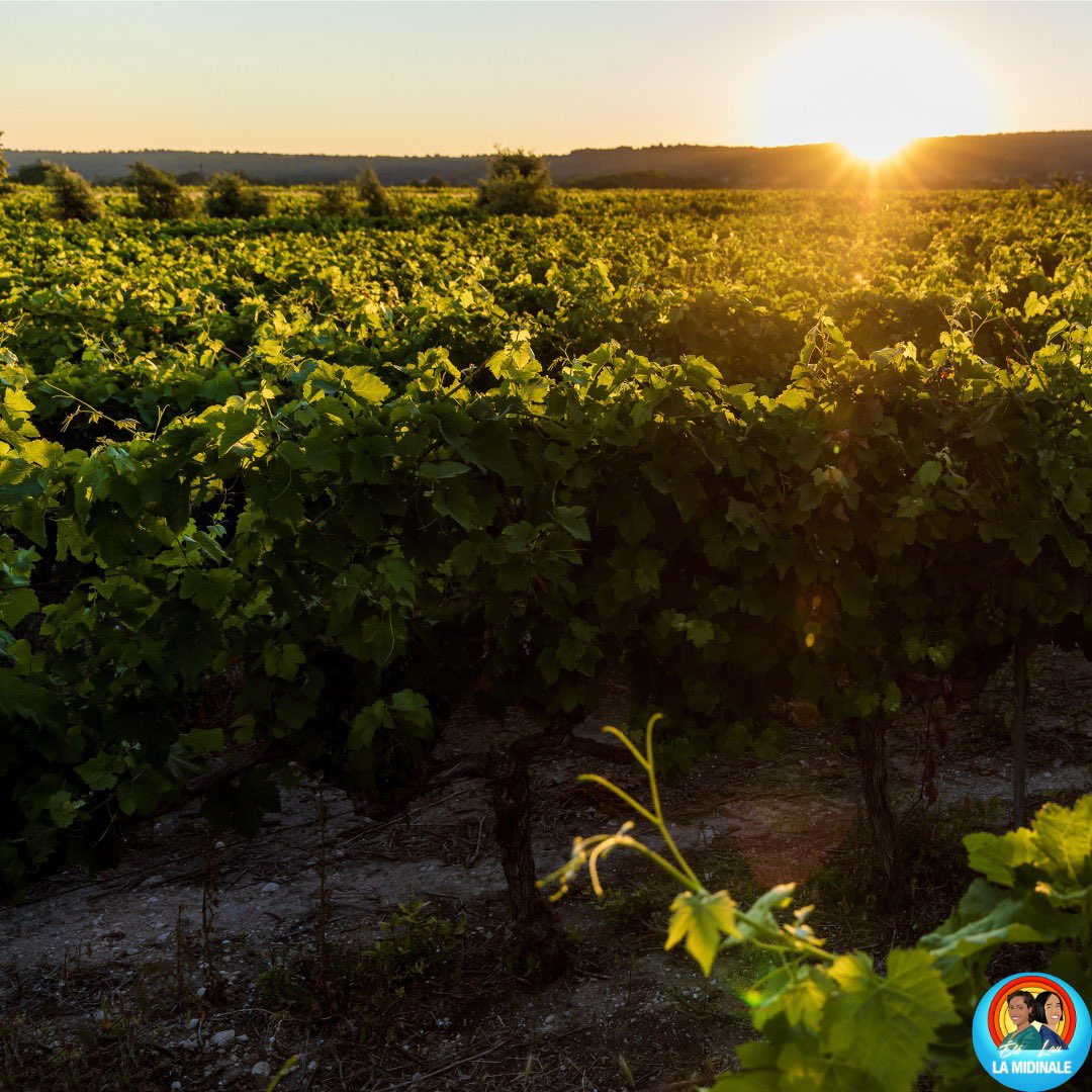 La #Midinale du lundi avec Élé Asu,  c’est l’instant #business.

Aujourd’hui on questionne la mode du #tourisme #durable : prise de conscience #écolo ou joujou de #luxe pour pays riches ?

De 12h30 à 14h, sur #clubhouse.

✅ lnkd.in/gVSDYDn