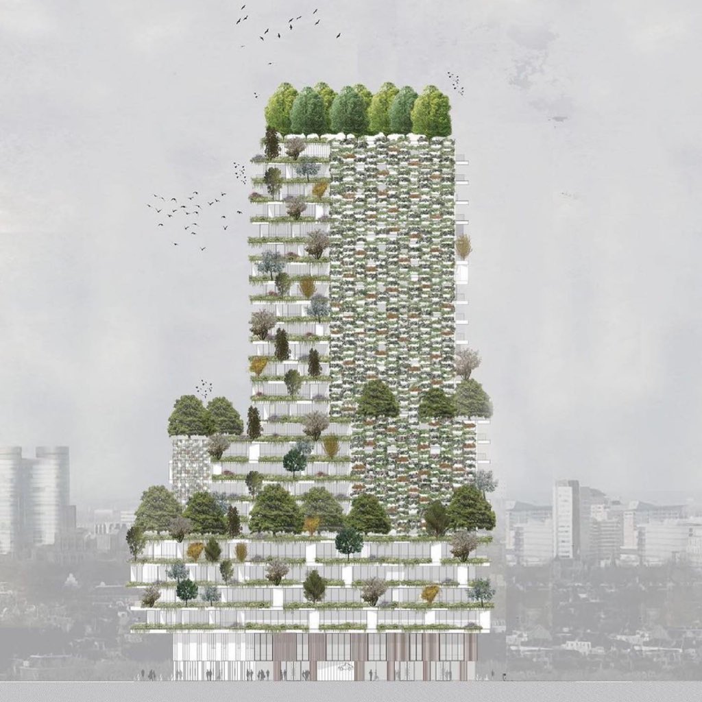 StefanoBoeri's tweet photo. Wonderwoods in the center of Utrecht will be a Vertical Forest h90 meters with 200 apartments and 10,000 plants of 30 different species: an ecosystem capable of producing about 41 tons of oxygen every year. @boeriarchitetti #stefanoboeriarchitetti https://t.co/D4waFknV1u