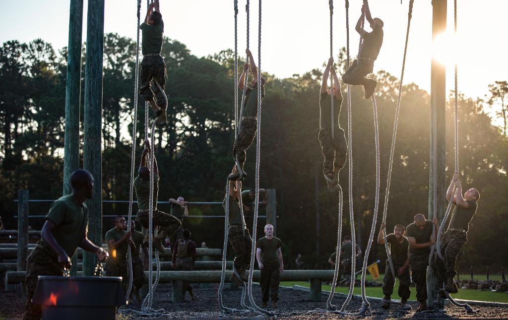 Department of Defense 🇺🇸 (@deptofdefense) on Twitter photo #MotivationMonday - need we say more?
<a href="/USMC/">U.S. Marines</a> <a href="/MCRDPI/">Marine Corps Recruit Depot Parris Island, S.C.</a> #MotivationMonday - need we say more?
<a href="/USMC/">U.S. Marines</a> <a href="/MCRDPI/">Marine Corps Recruit Depot Parris Island, S.C.</a>