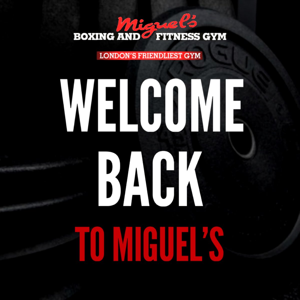 MiguelsGym tweet picture