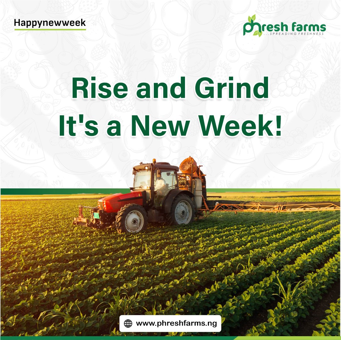 PhreshFarmsNG's tweet photo. We hope you are well refreshed to take on a new week after the brief holiday. Rise and grind.

#Phreshfarms
#agriculturalinvestors
 #agriculture 
#farming #farminvest #sustainablefarming
#farminginvestments #agricultureinnigeria
#farminginnigeria https://t.co/AvGFu87Wam
