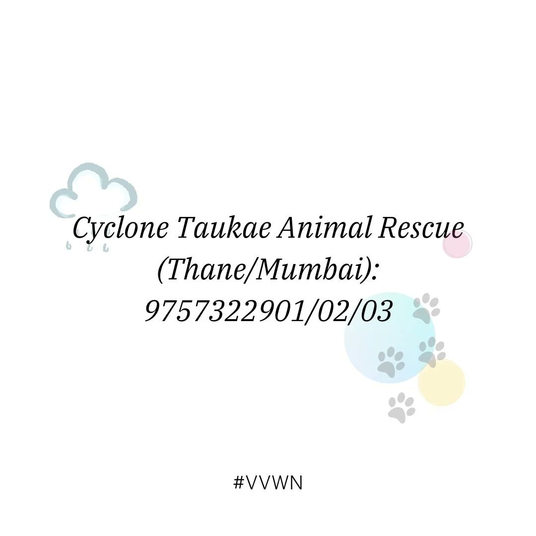 If you find an animal or bird in need of help please call the #CycloneTauktae Animal Rescue number.

If you find a bird in need you can also connect with Phoenix Veterinary Specialty on  +91 80800 78018 and get aid on call. 

#CycloneAlert #CycloneTauktaeupdate #savealife
