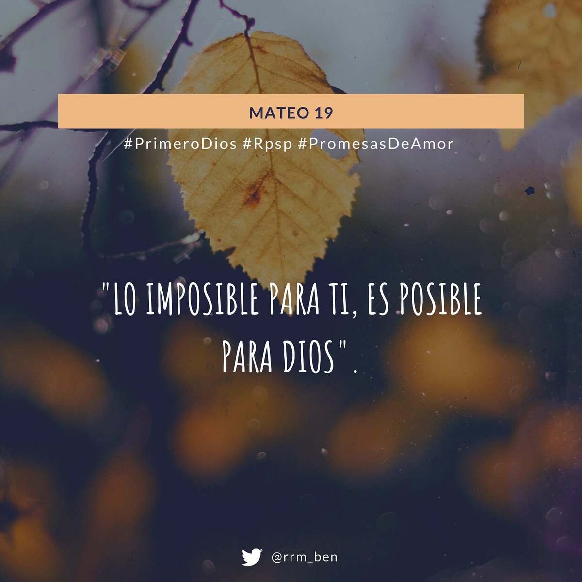 rrm_ben's tweet photo. Mt19: En las manos de Dios, nada es imposible.

#PromesasDeAmor #Rpsp #PrimeroDios #Confianza #Biblia #Fe #Oración #Biblia #DiosEsAmor #FelizLunes ☝️Leer Mateo 19 https://t.co/c2KYfksmJP