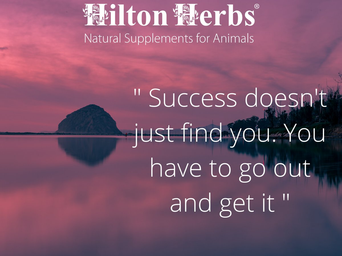 Monday Motivation 💜

What've you got planned for today?

#hiltonherbs #hiltonherbsuk #mondaymotivation