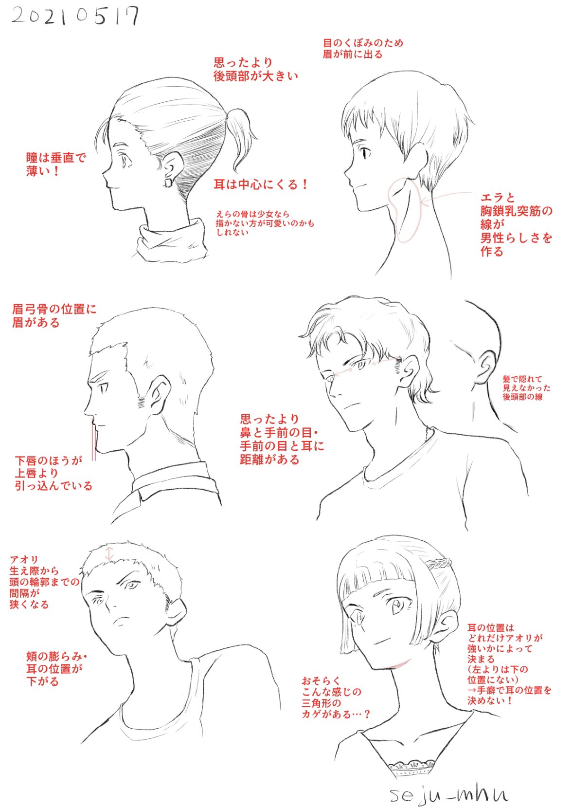 Twitter 上的 らうた アニメ私塾素体集を使っての苦手な横顔 アオリ練習です アニメ私塾さんのツイートから得た知識と自分の気付いたことや推測を書き込んでいますが 知識で分かっていてもいざ描くとなると驚きがあります イラスト練習 イラスト練習中 T