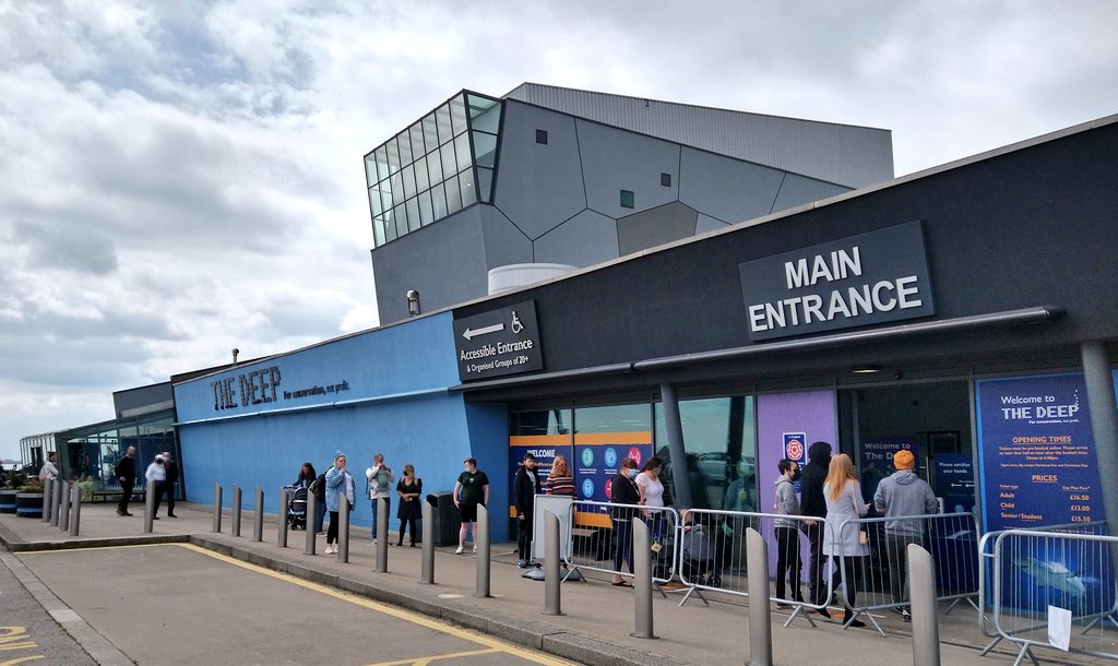 Finally - a family day out INDOORS 🐟🐠🦈 Lots of new parents and families very glad that indoor attractions like @thedeephull are back open. It'll be on <a href="/looknorthBBC/">BBC East Yorkshire</a> today.
