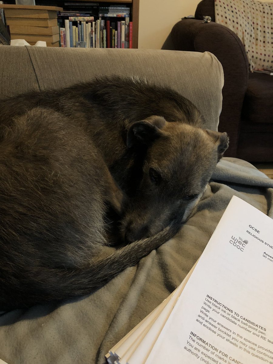 discreetteacher's tweet photo. Current mood #raining #marking #reteacher #edchat https://t.co/rAKBhYXh3W