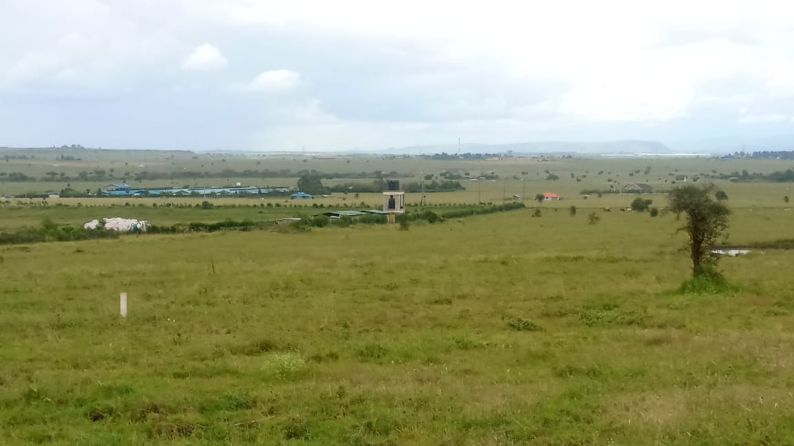 JamesBuld's tweet image. #NdataniDiscountedPlots #KipetoHeights located 5km from Isinya Town along Isinya -Kiserian pipeline road.. Ideal for immediate settlement . This prime plot is pocket friendly with flexible payment terms .. Call @ndataniplots_Ke today 0720555111